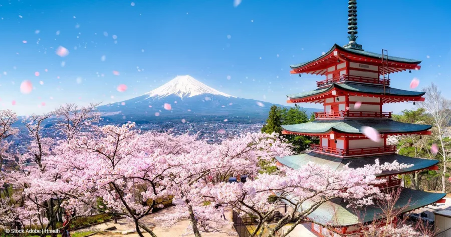 Tempel in Japan zur Kirschblüte