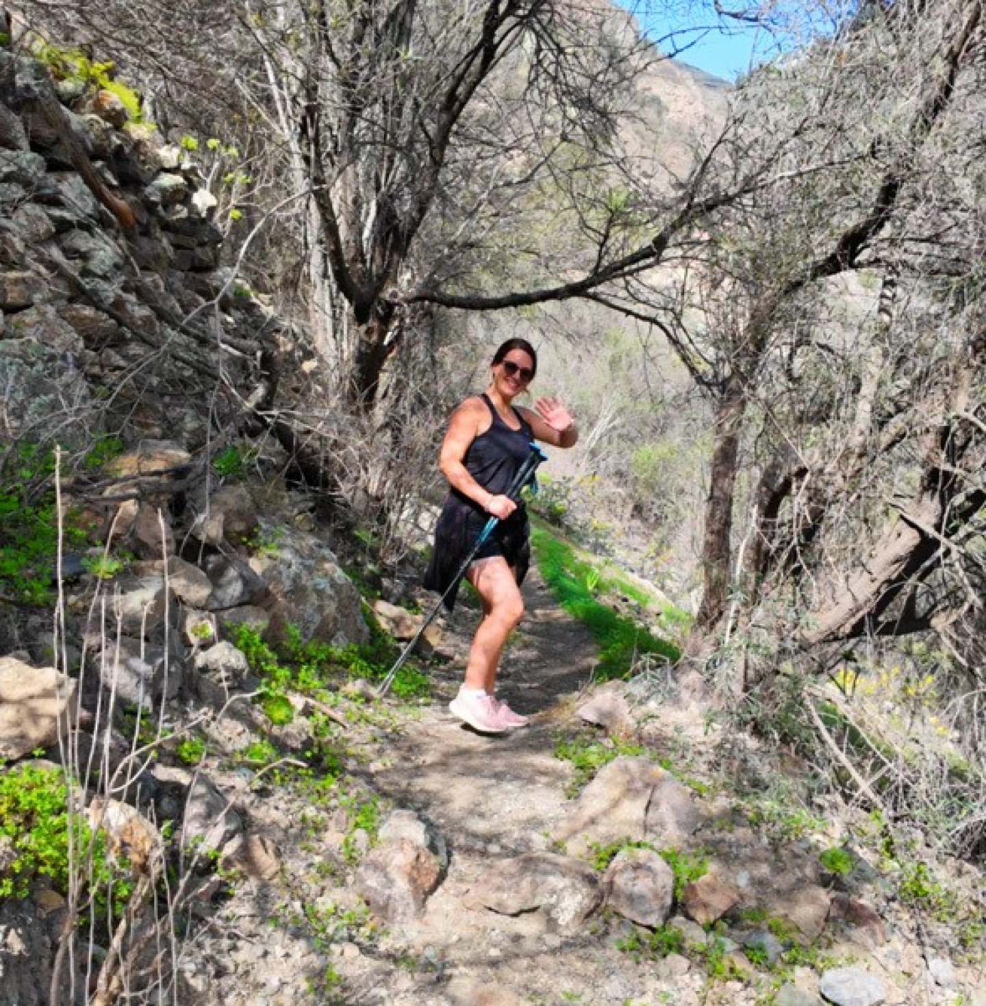 Wanderung durch Urwald