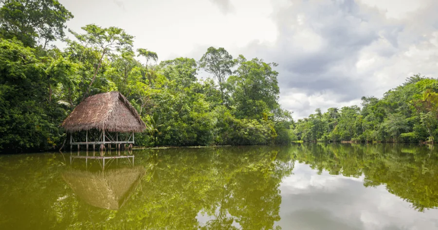 Hütte am Fluss im Amazonas