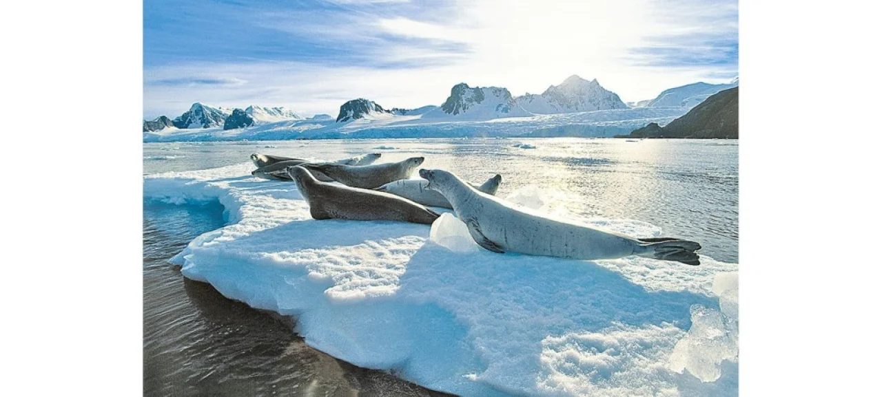 Hafenbild content/reisedaten/haefen/114/1/teaser.jpg
