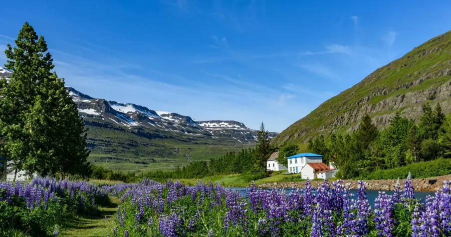 Hafenbild Seydisfjordur