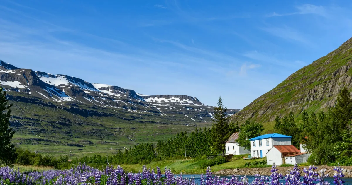 Hafenimpression Seydisfjordur