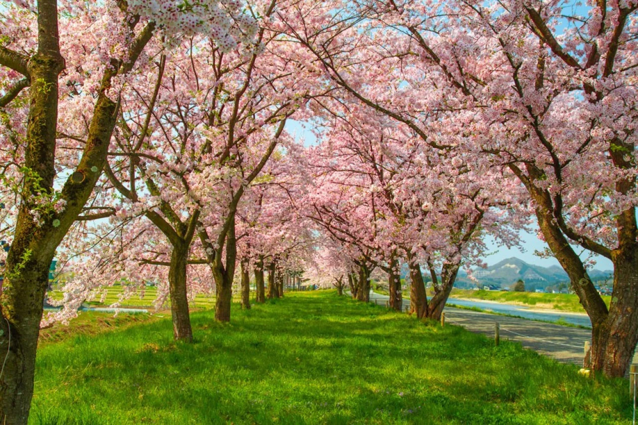 Hafenbild content/reisedaten/haefen/168/1/teaser.jpg