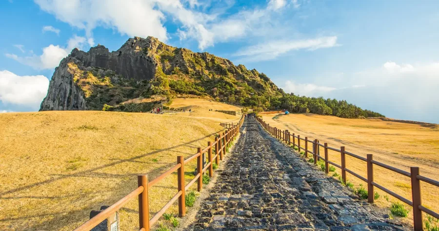 Hafenbild Jeju