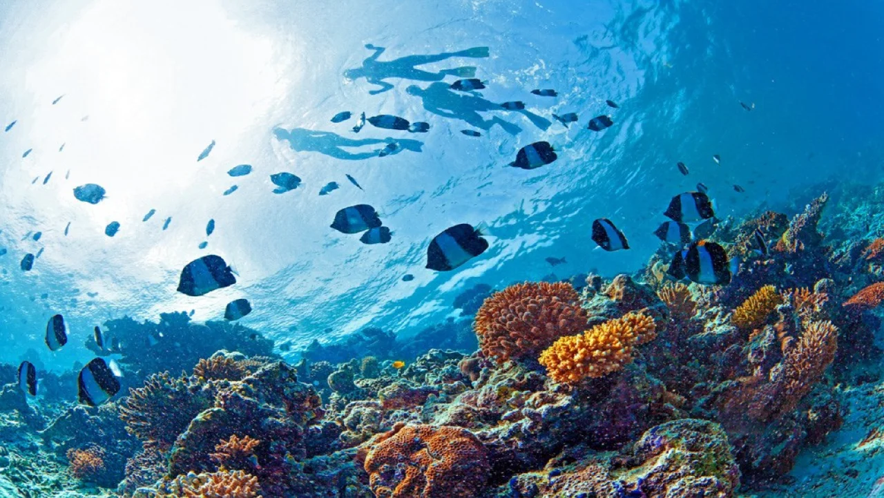 Hafenbild content/reisedaten/haefen/188/1/teaser.jpg