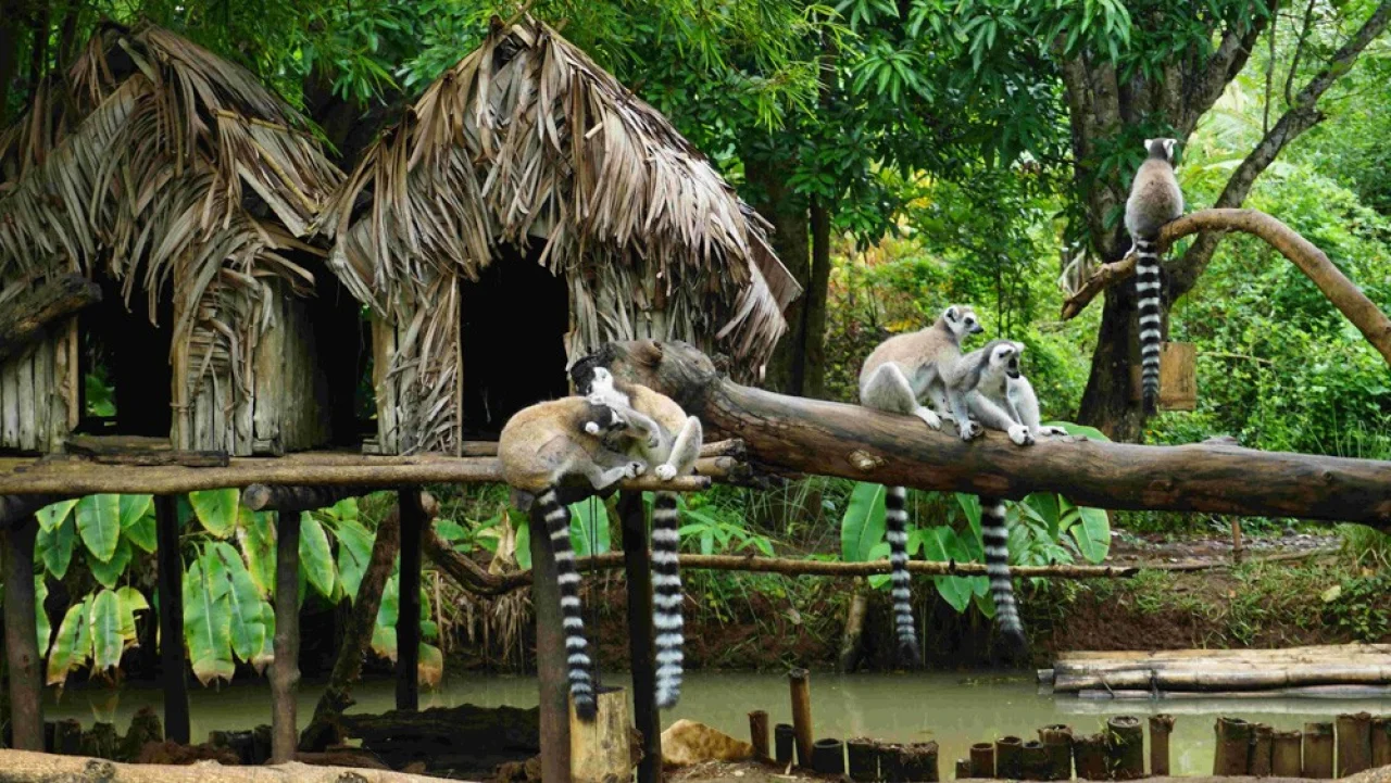 Hafenbild content/reisedaten/haefen/197/1/teaser.jpg