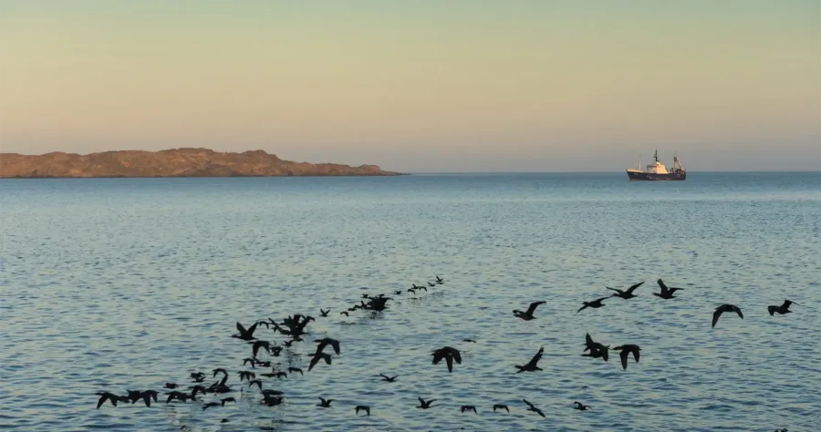 Hafenbild Lüderitz