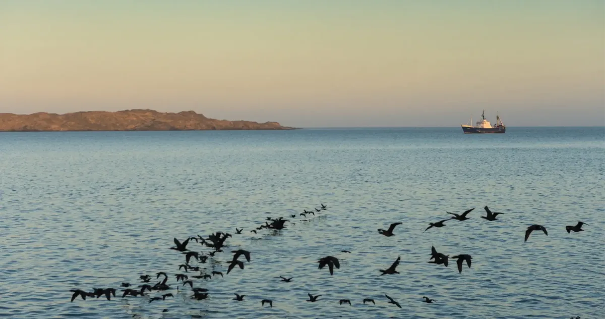 Hafenimpression Lüderitz