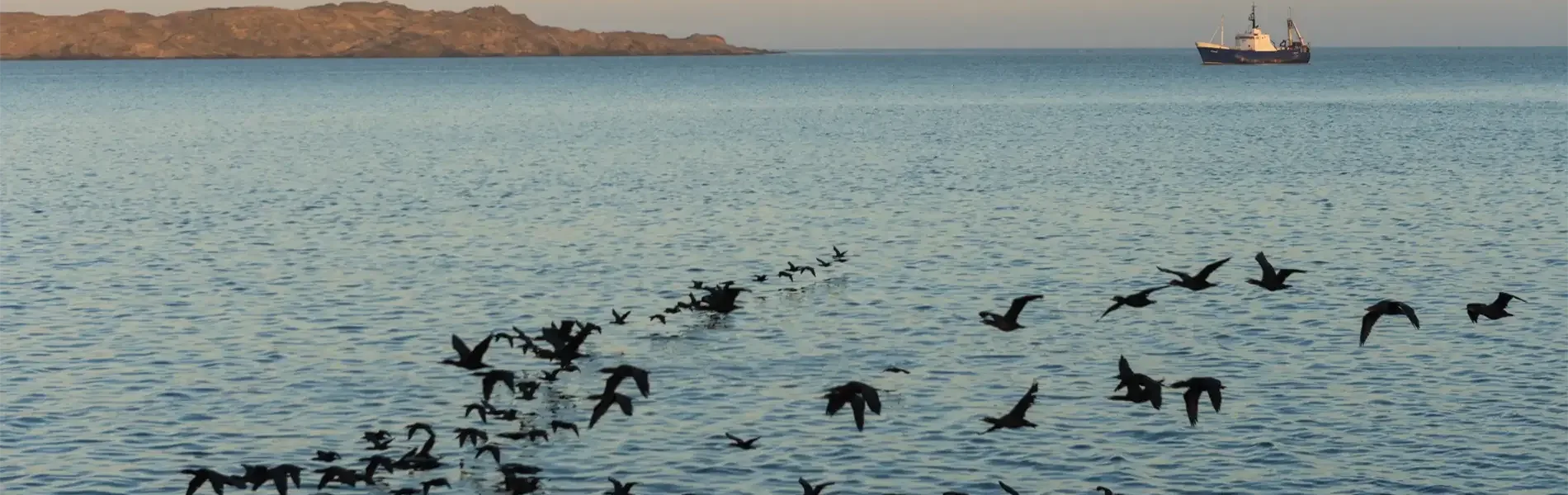 Hafenimpression Lüderitz