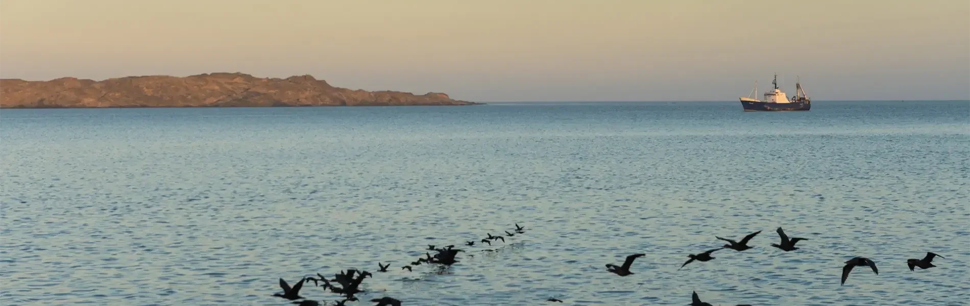 Hafenimpression Lüderitz
