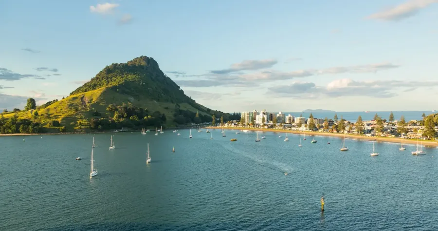 Hafenbild Tauranga