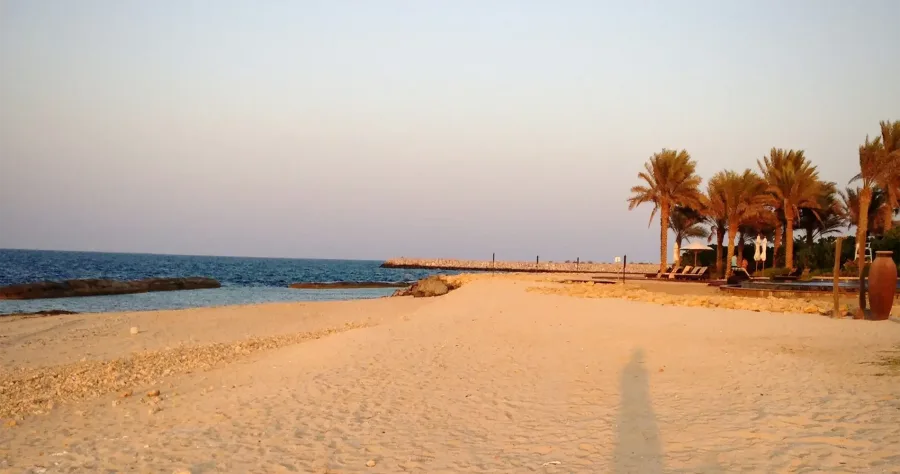 Hafenbild Sir Bani Yas Island