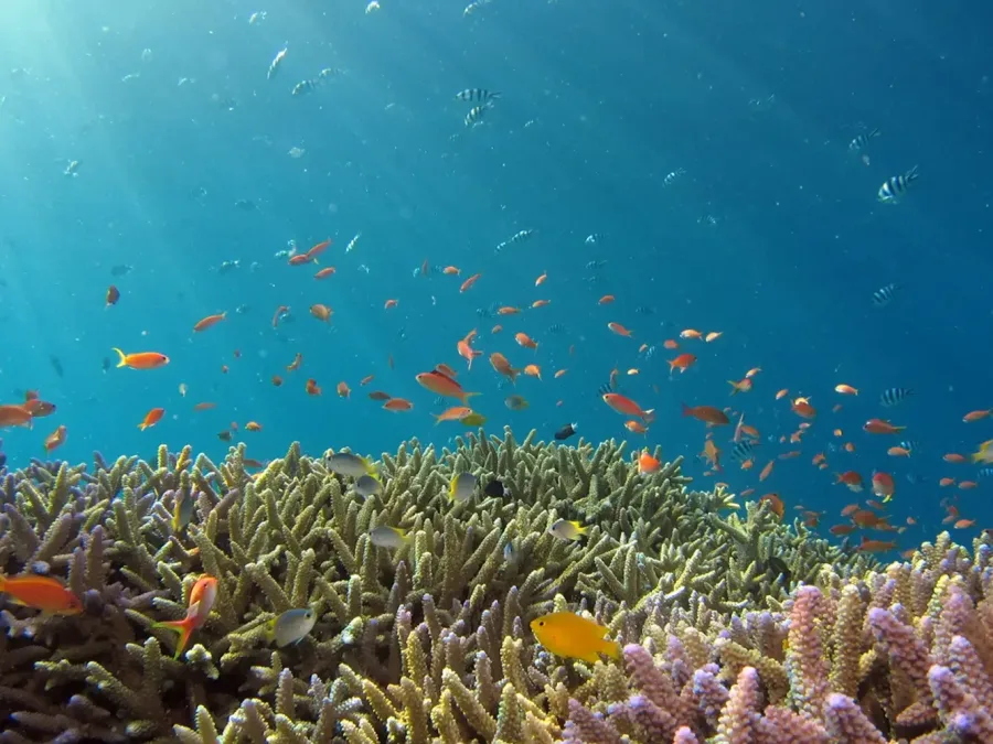 Hafenbild Tuamotu-Archipel-Passage