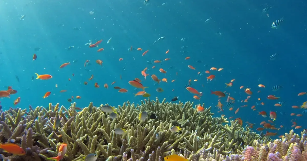 Hafenimpression Tuamotu-Archipel-Passage
