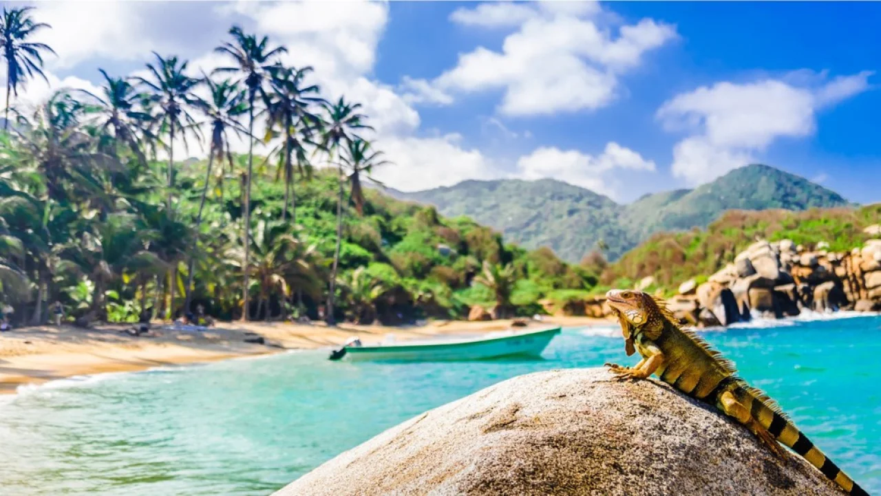 Hafenbild content/reisedaten/haefen/36/1/teaser.jpg