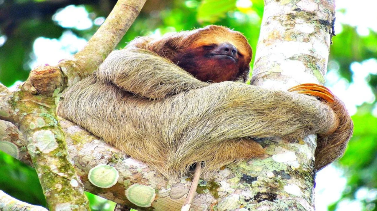 Hafenbild content/reisedaten/haefen/37/2/teaser.jpg