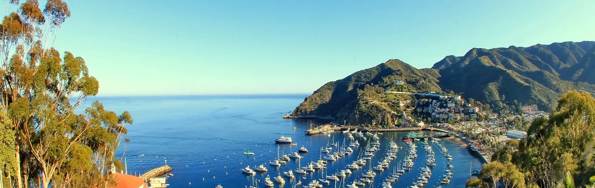 Hafenimpression Catalina Island