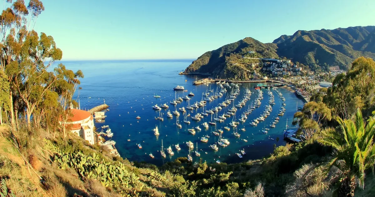 Hafenimpression Catalina Island
