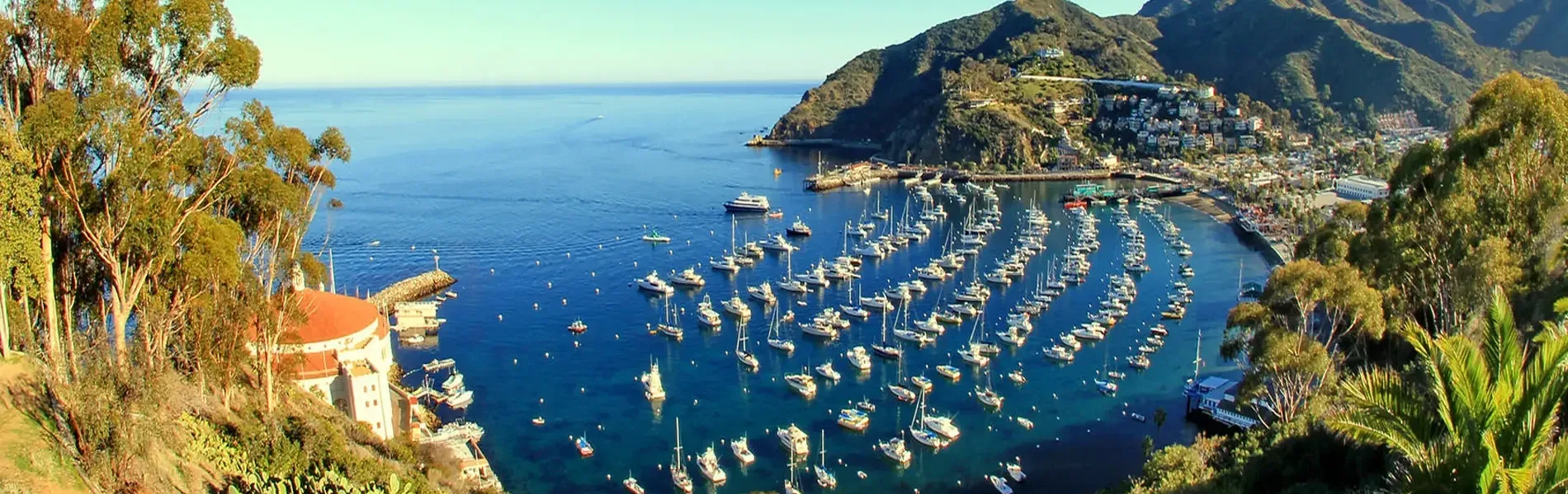 Hafenimpression Catalina Island