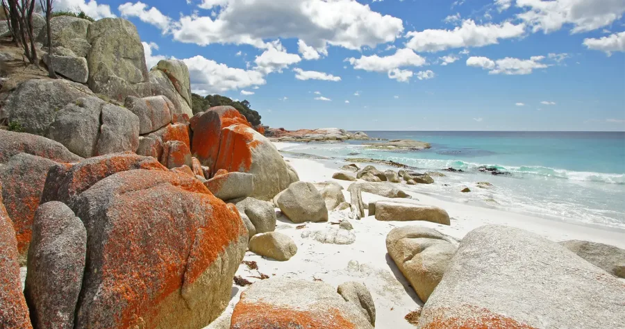 Hafenbild Burnie (Tasmanien)