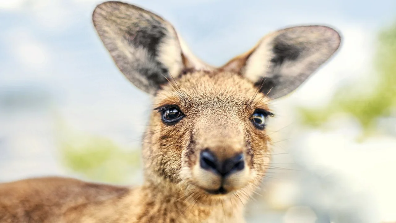 Hafenbild content/reisedaten/haefen/587/1/teaser.jpg