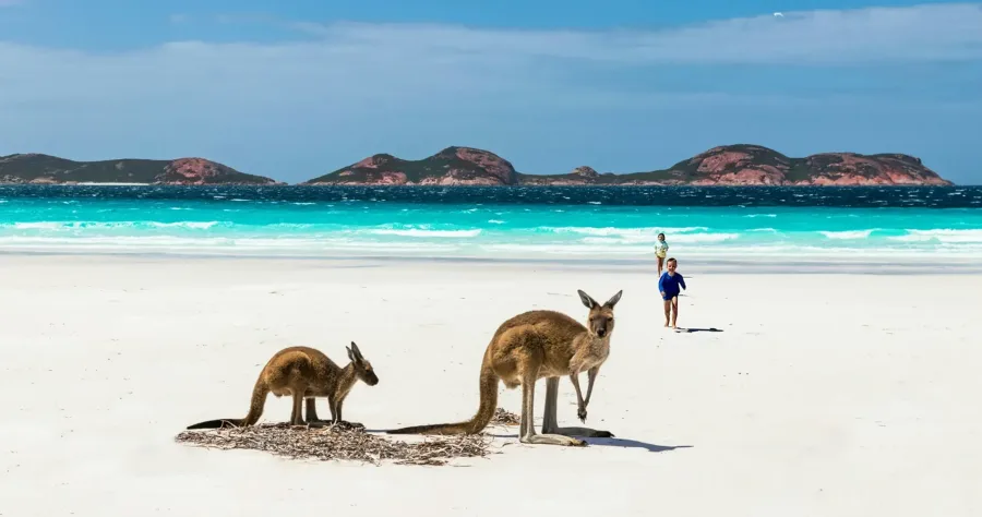 Hafenbild Kangaroo Island (Penneshaw)