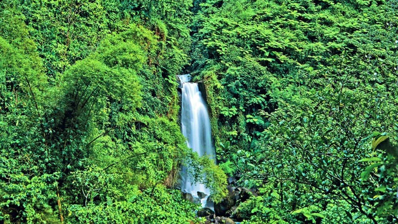 Hafenbild content/reisedaten/haefen/589/1/teaser.jpg