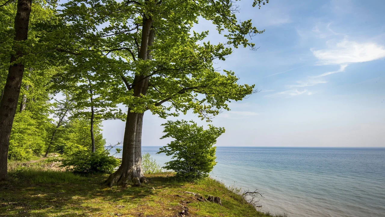 Hafenbild content/reisedaten/haefen/595/1/teaser.jpg