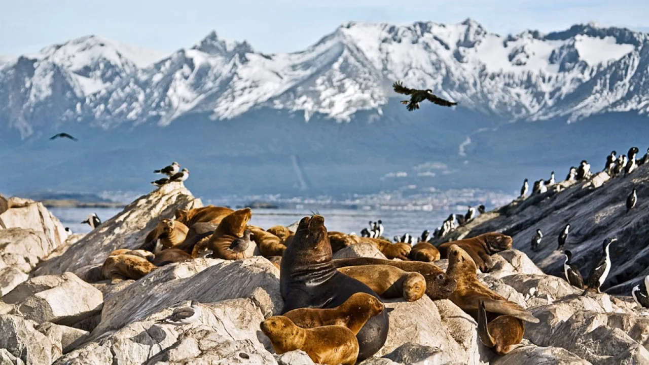 Hafenbild content/reisedaten/haefen/6/1/teaser.jpg