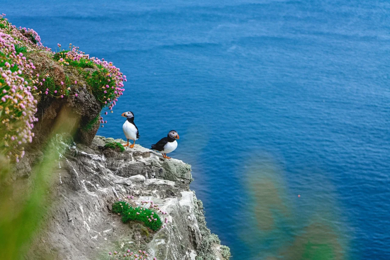 Hafenbild content/reisedaten/haefen/611/1/teaser.jpg