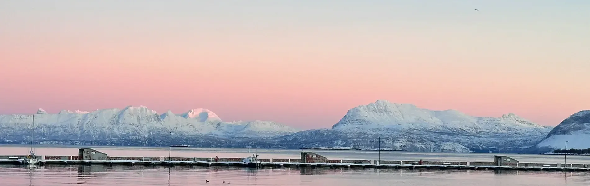 Hafenimpression Harstad