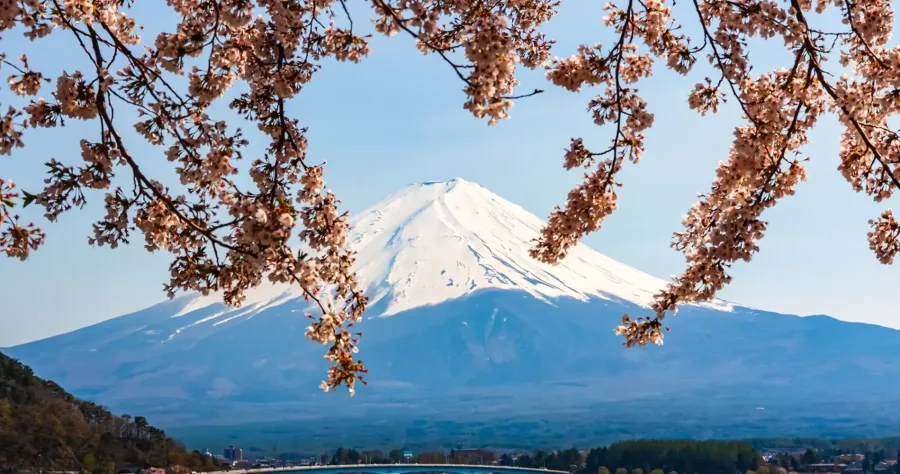 Hafenbild Suruga Bay - Mt Fuji View
