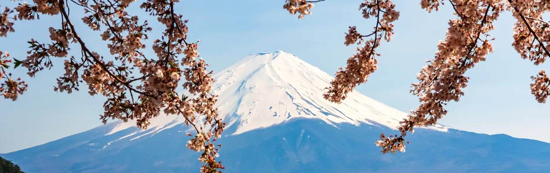 Hafenimpression Suruga Bay - Mt Fuji View