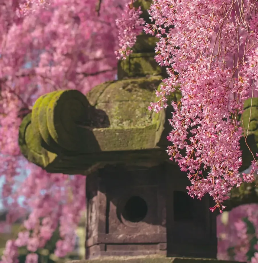 Hafenbild Sakaiminato