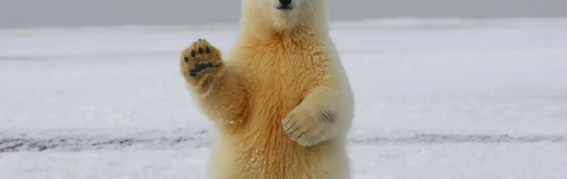 Hafenimpression Polarkreisüberquerung