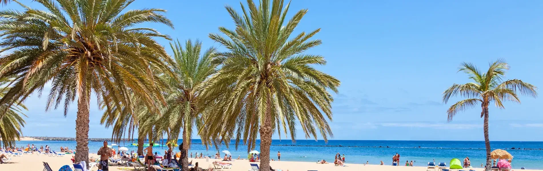 Hafenimpression Santa Cruz (Teneriffa)