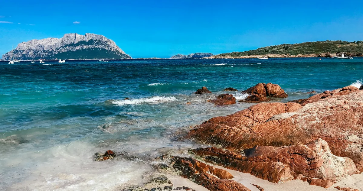 Hafenimpression Alghero