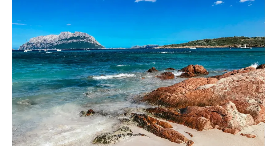 Hafenbild Alghero