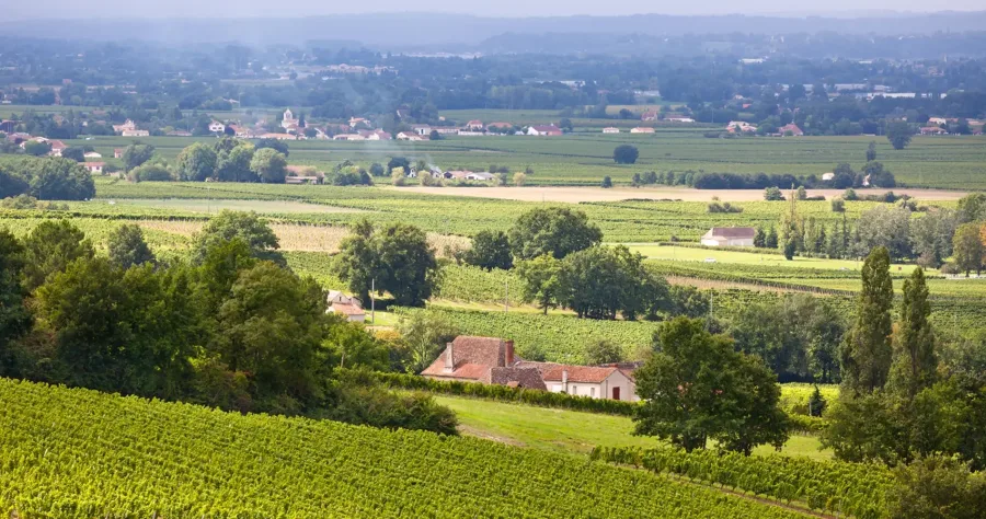 Hafenbild Pauillac