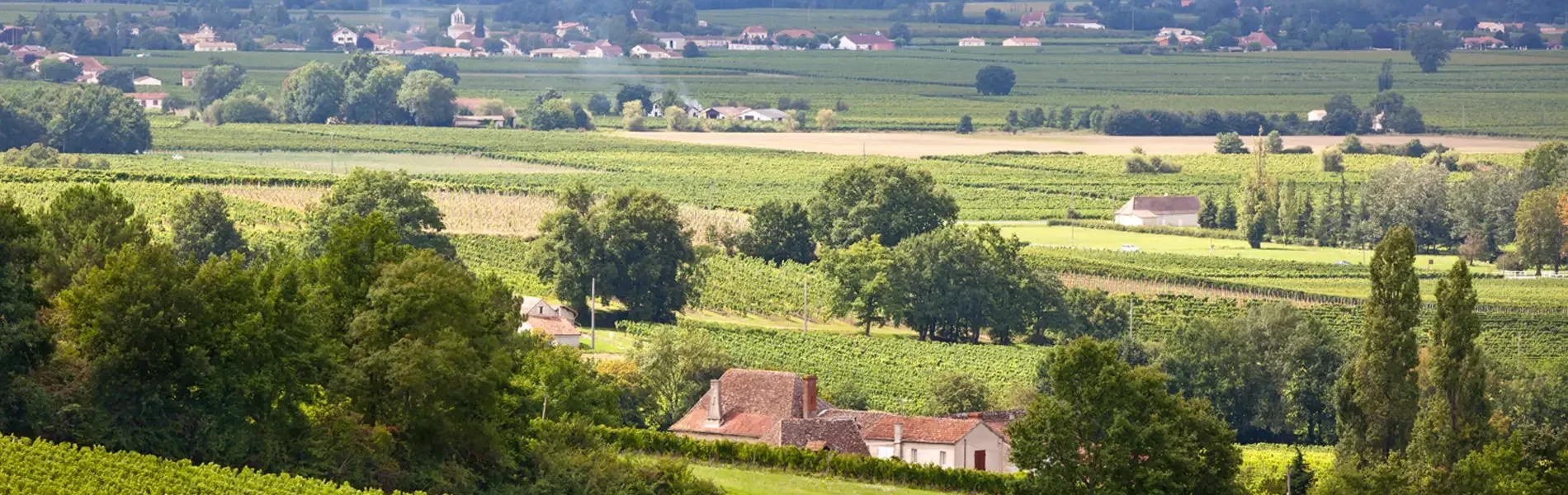 Hafenimpression Pauillac