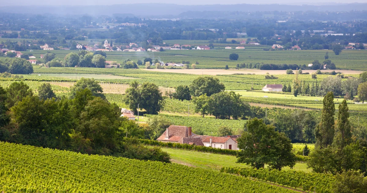 Hafenimpression Pauillac