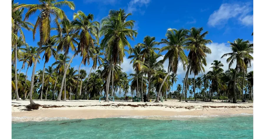 Hafenbild Cayo Levantado