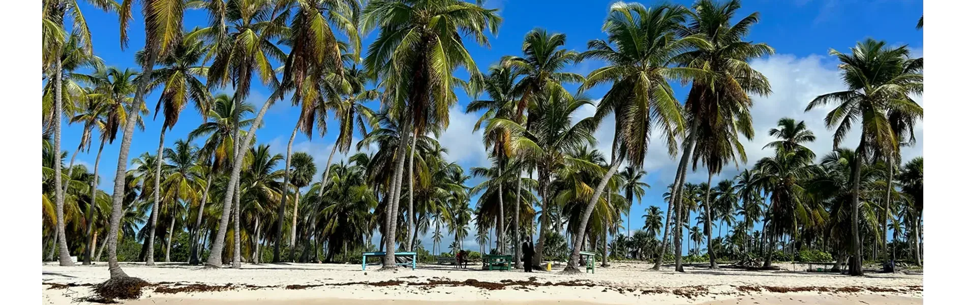 Hafenimpression Cayo Levantado
