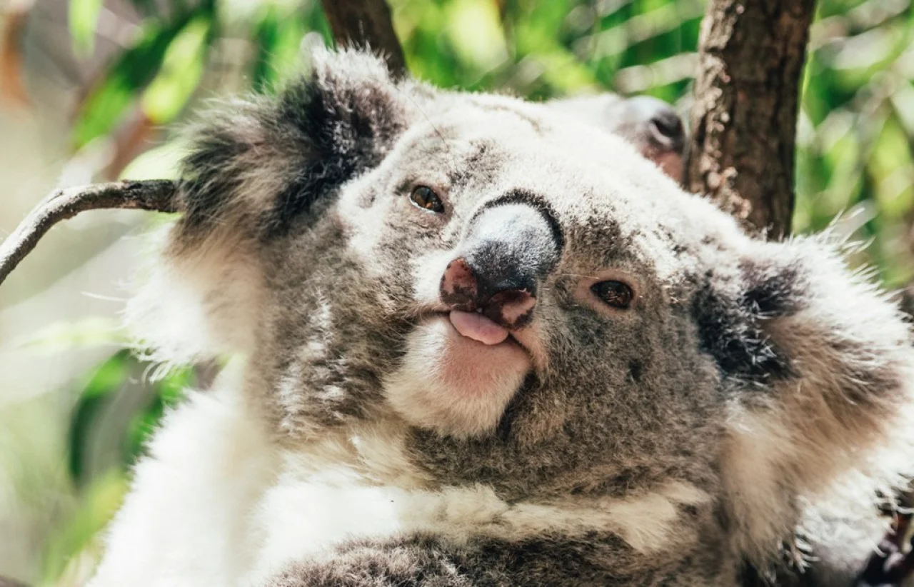 Hafenbild content/reisedaten/haefen/8/1/teaser.jpg