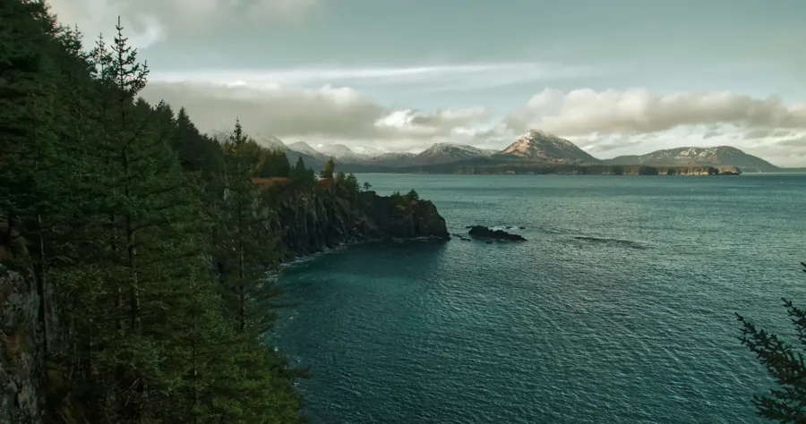 Hafenbild Kodiak