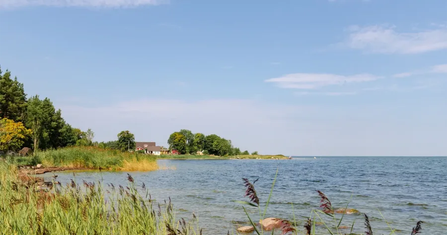 Hafenbild Saaremaa