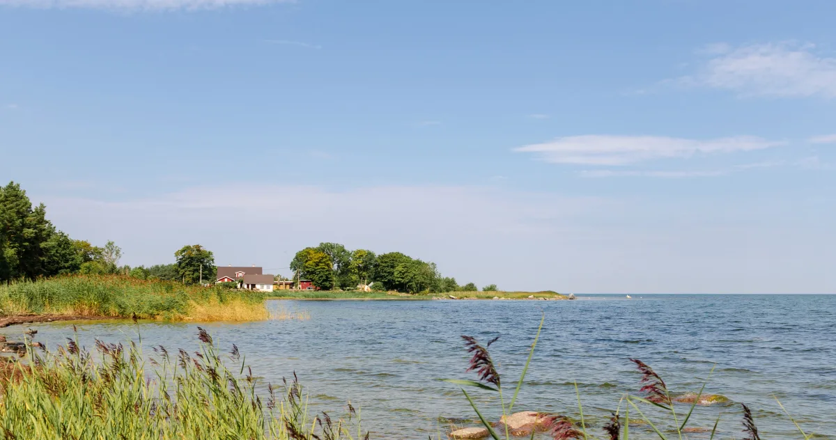 Hafenimpression Saaremaa