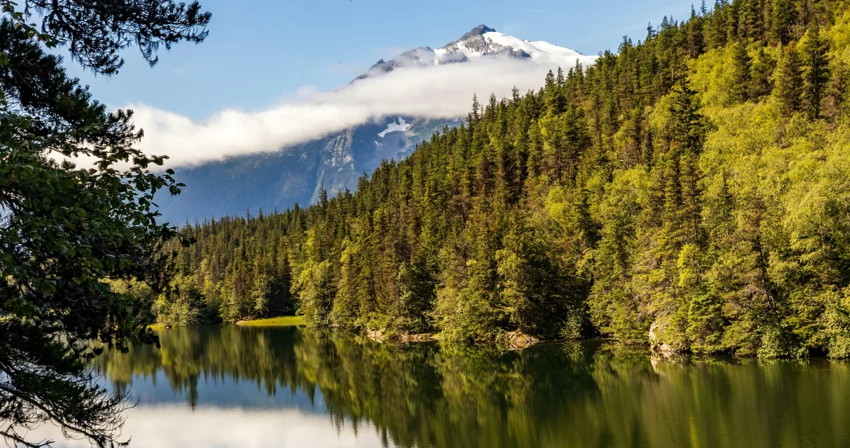Hafenimpression Skagway