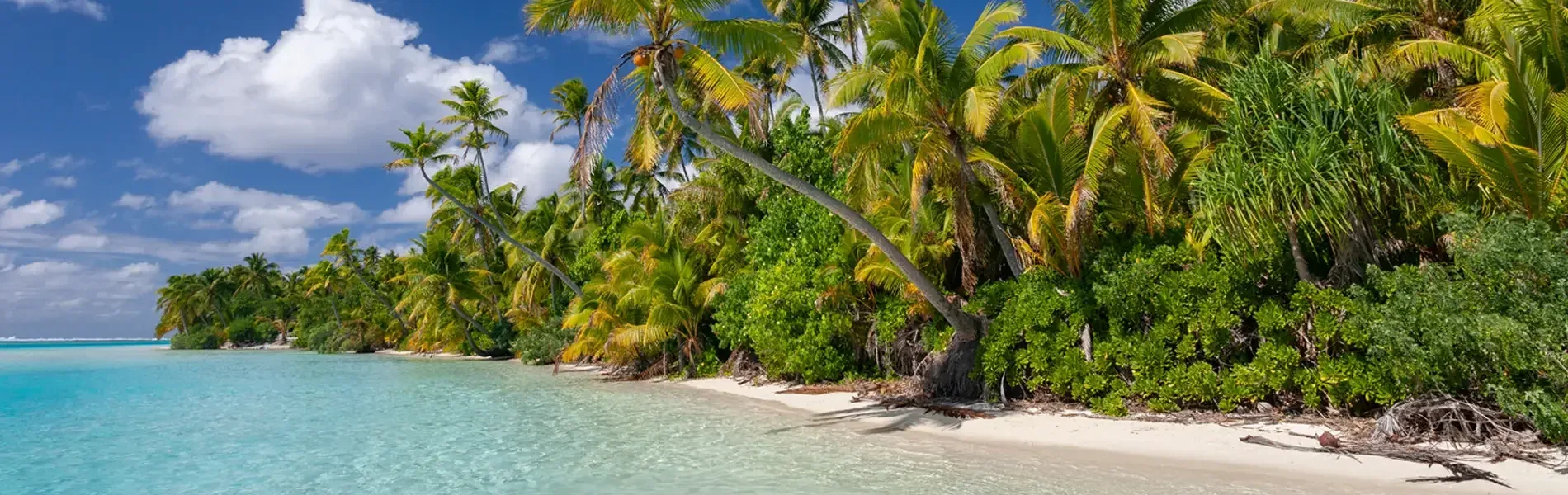 Hafenimpression Dravuni Island