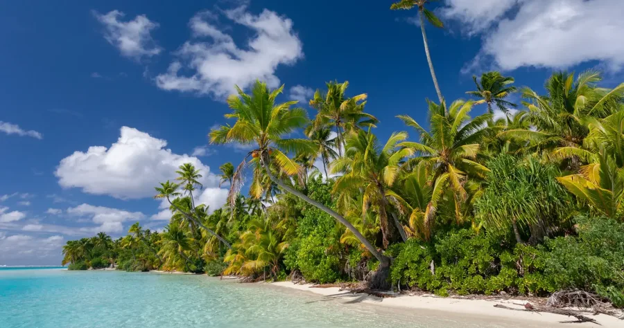 Hafenbild Dravuni Island